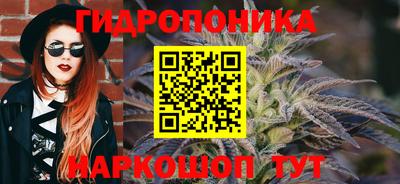 jwh Гусев