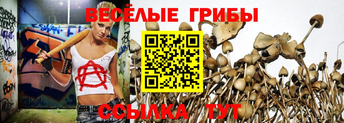 Галлюциногенные грибы мухоморы Ижевск