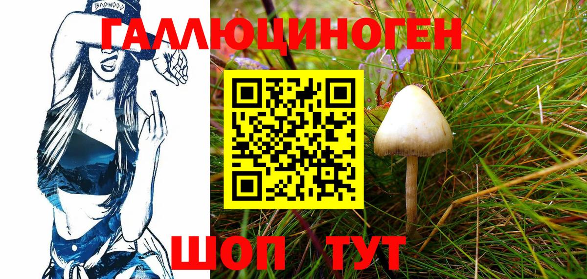 Псилоцибиновые грибы Psilocybine cubensis  Вход с VPN  Псилоцибиновые грибы Psilocybe  Ижевск 