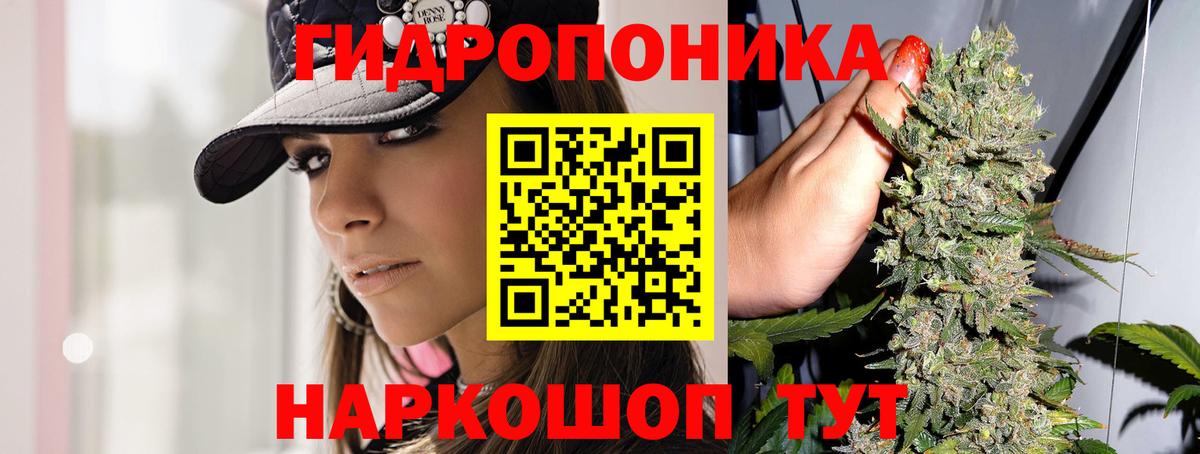 Бошки Шишки VHQ Ижевск